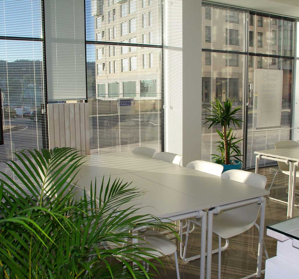 stanza o ufficio con tavolo, sedie e piante