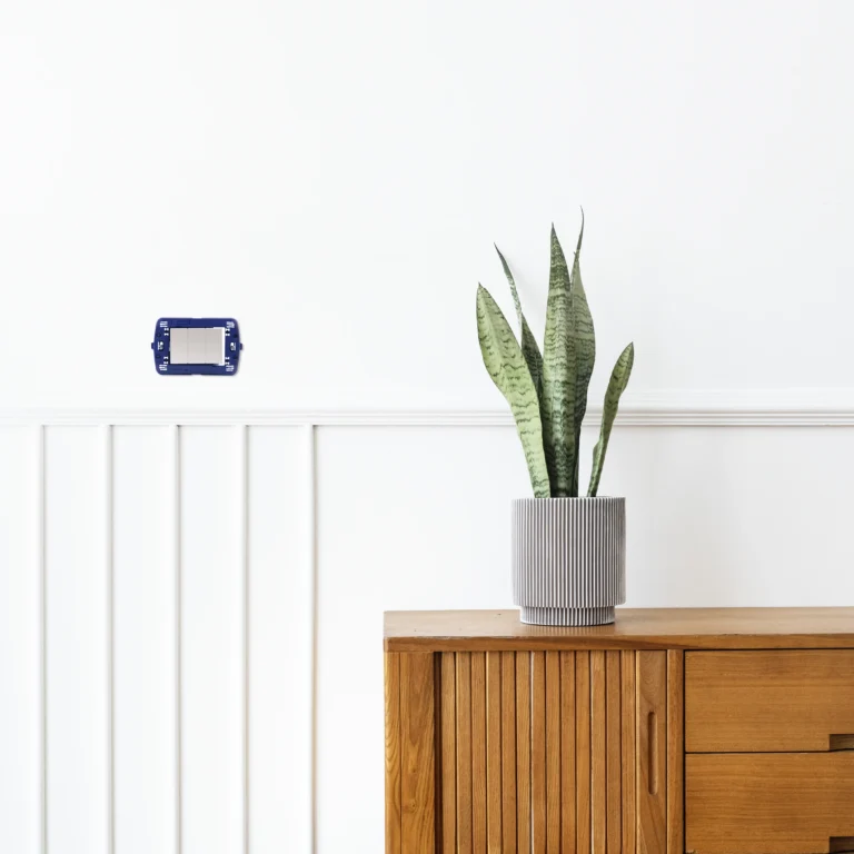 Approfondimento immagine  1