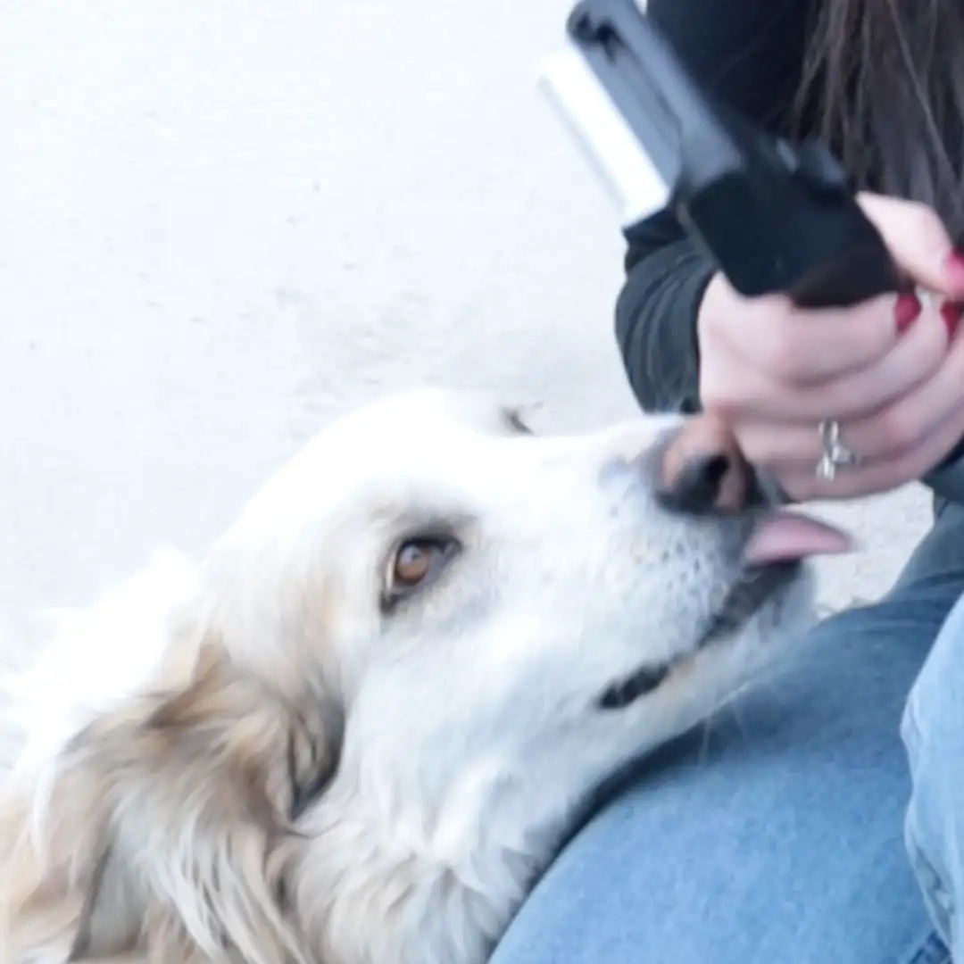 Approfondimento immagine  1