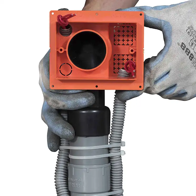 Approfondimento immagine  1