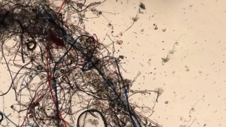 Polvere domestica: Geopop smaschera (finalmente!) le micropolveri invisibili